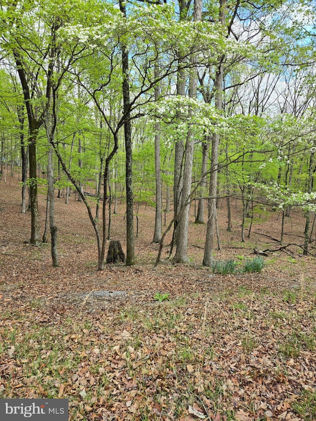 0 Pioneer Trail unit WVMO2005610, Great Cacapon, WV 25422 - photo 5