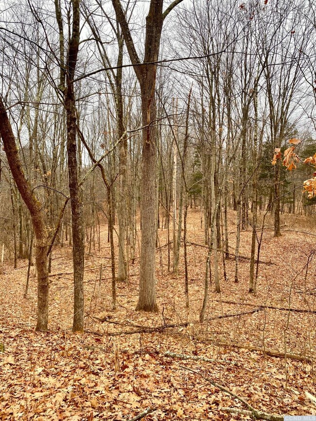 573 Willow Brook Rd, Clinton Corners, NY 12514 - photo 4