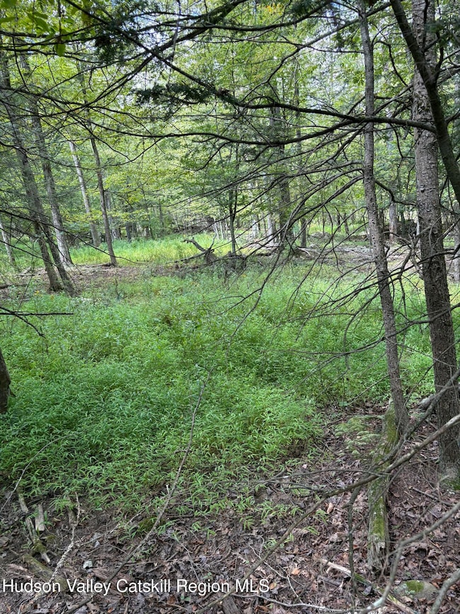TBD Oak Ridge Rd, Ellenville, NY 12428 - photo 3