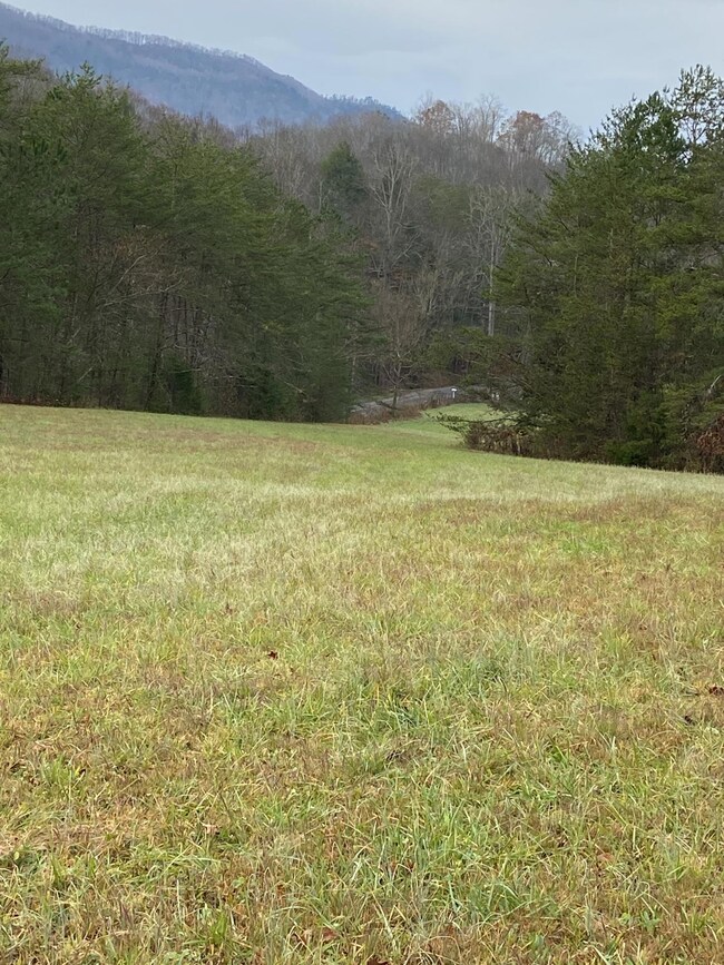 17 ac. Old Chilhowee 4 MLS1136250