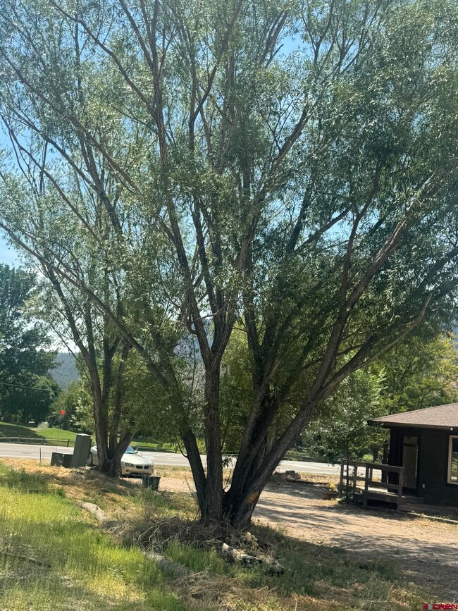275 & 213 Cr 252 Aka Trimble Ln, Durango, CO 81301 - photo 5