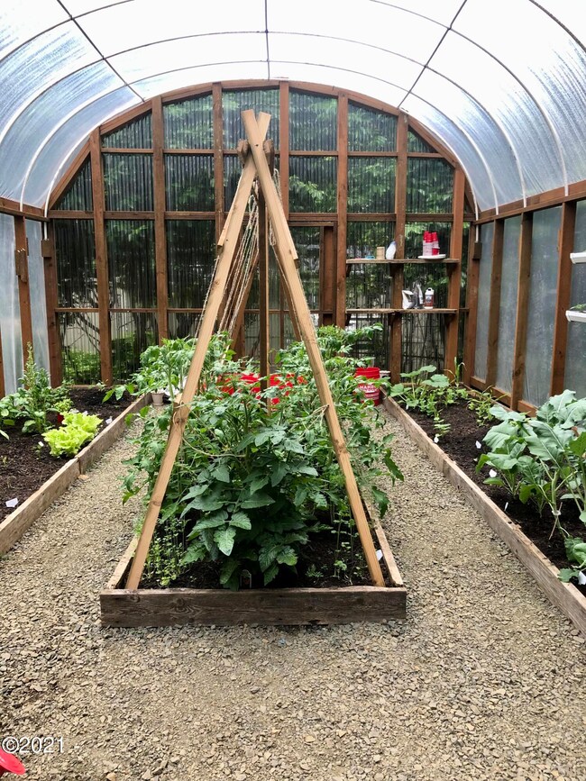 inside greenhouse