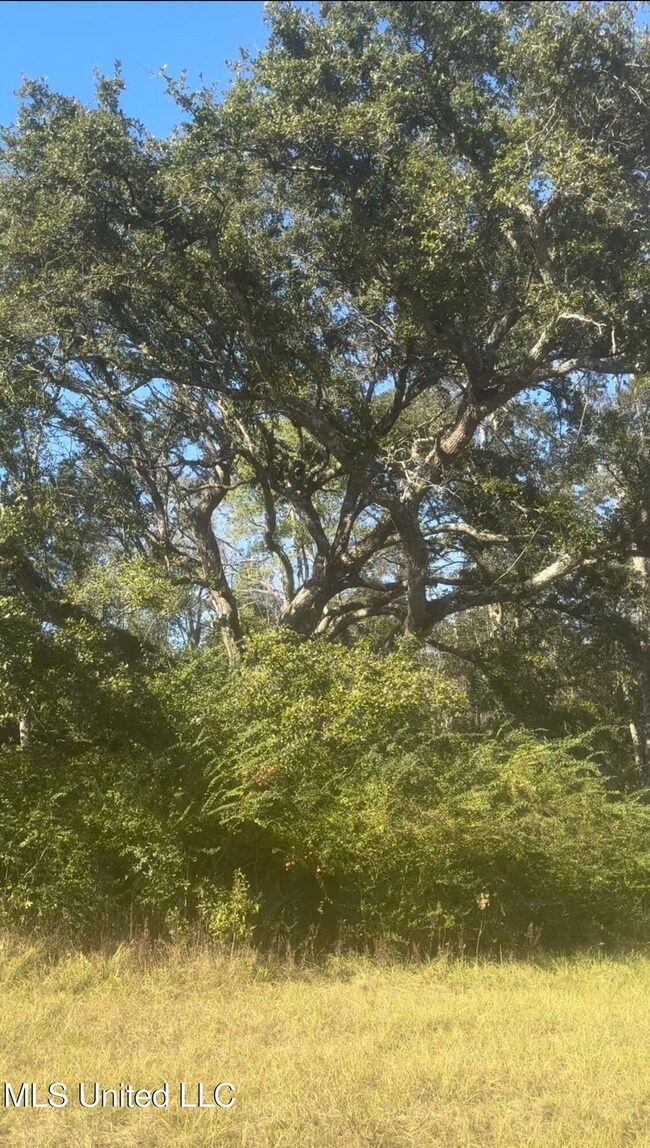 E 528 Rd, Kiln, MS 39556 - photo 3