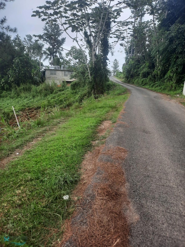 Km 1.65 Calle Reinita unit Parcela A, Moca, PR 00676 - photo 4