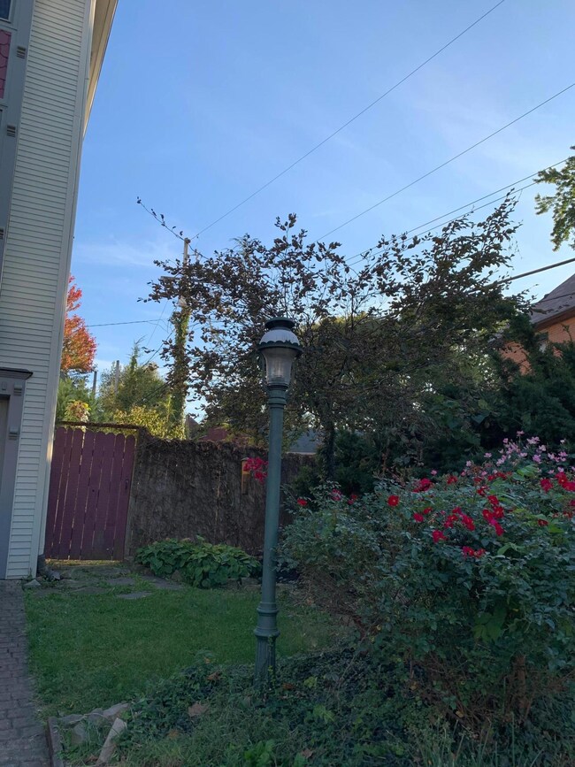 Exterior yard