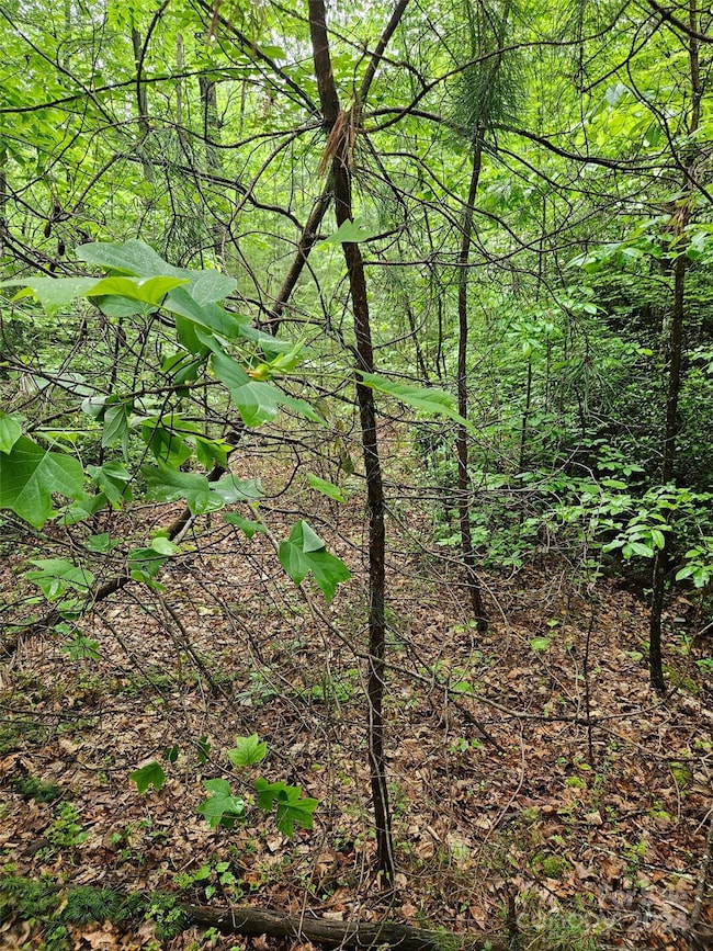 00 Brookside Pkwy unit 24, Lake Lure, NC 28746 - photo 3