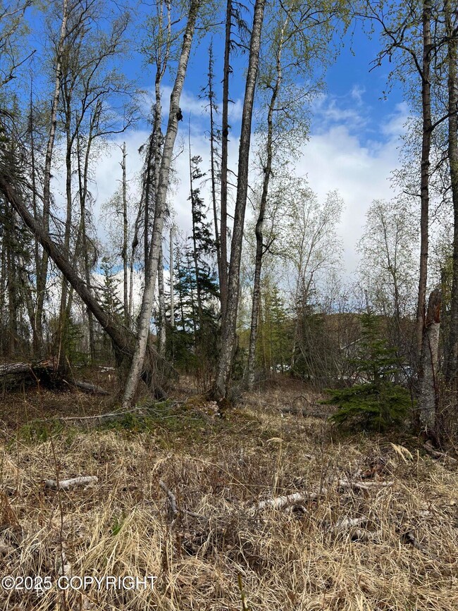 1.51 Acres
