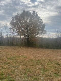 601 E 3rd St, Mountain View, MO 65548 - photo 7