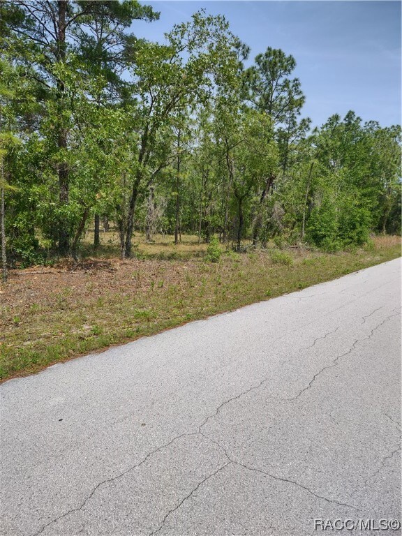 0000 SW Bonable Dr, Dunnellon, FL 34431 - photo 4