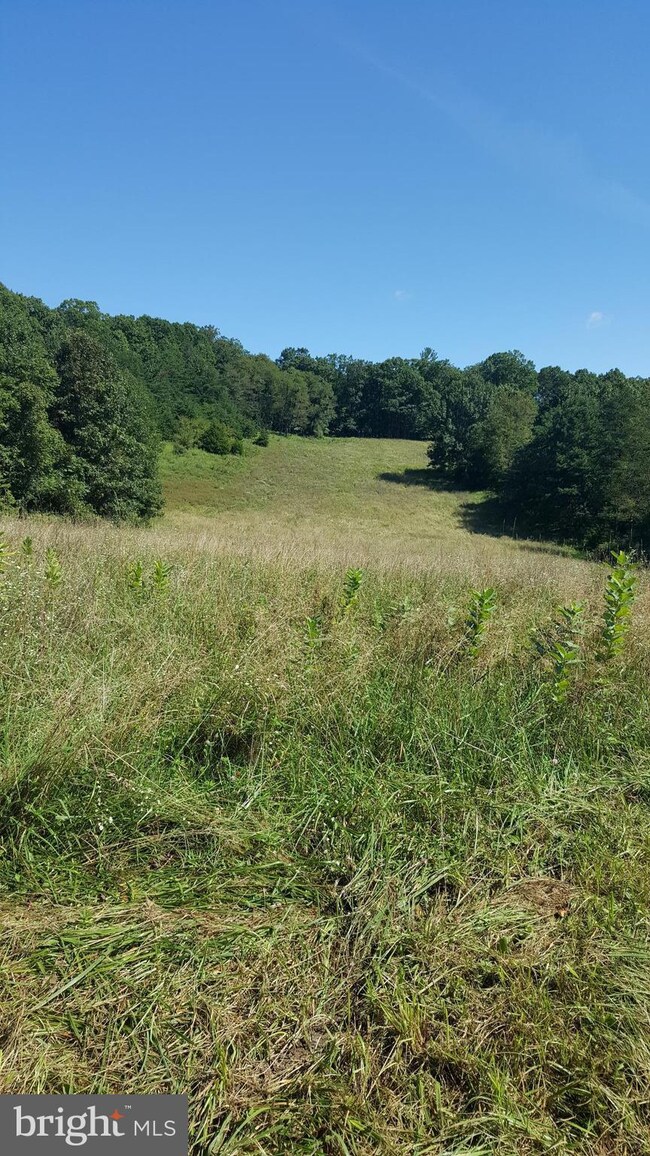 0 Dellinger Gap Rd unit 1002764866, Edinburg, VA 22824 - photo 5