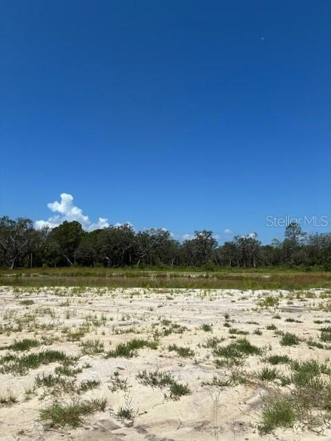 0 Lake Yale Rd unit MFRG5100985, Umatilla, FL 32784 - photo 3