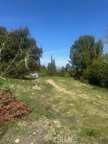 4551 Lindley Ave, Tarzana, CA 91356 - photo 4