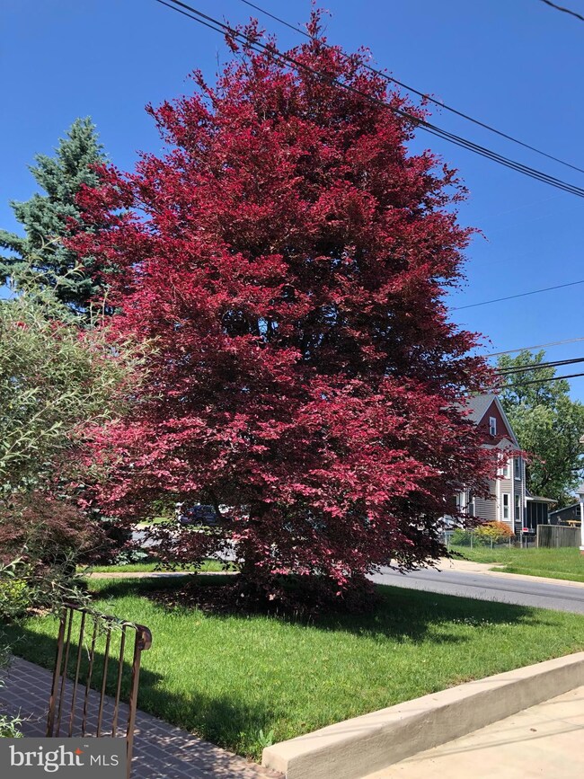 22 Newburg Ave, Catonsville, MD 21228 - photo 2