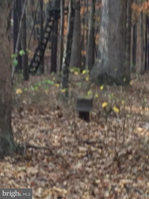 0 Green Oak Ln unit 1004116023, Berkeley Springs, WV 25411 - photo 4