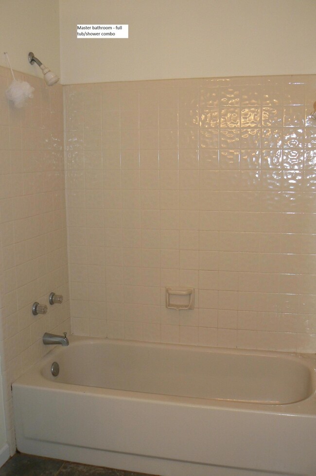 Master bathroom