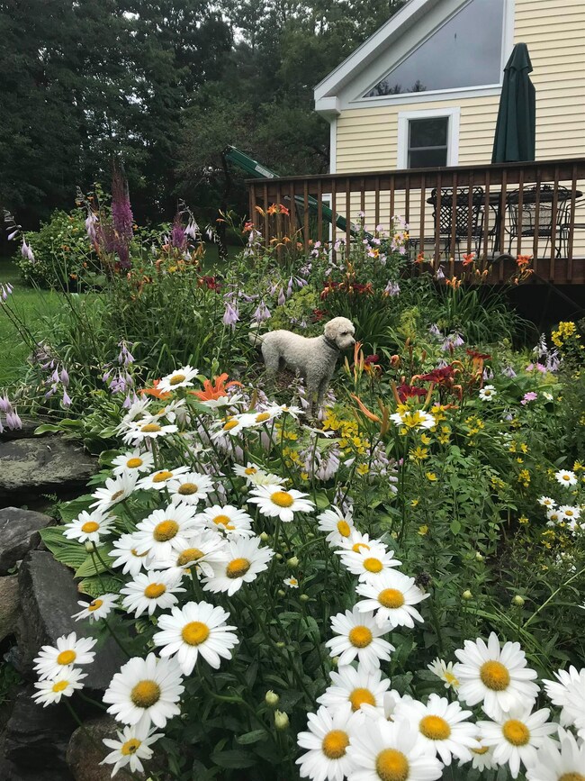 151 Town Farm Rd, Ludlow, VT 05149 - photo 5