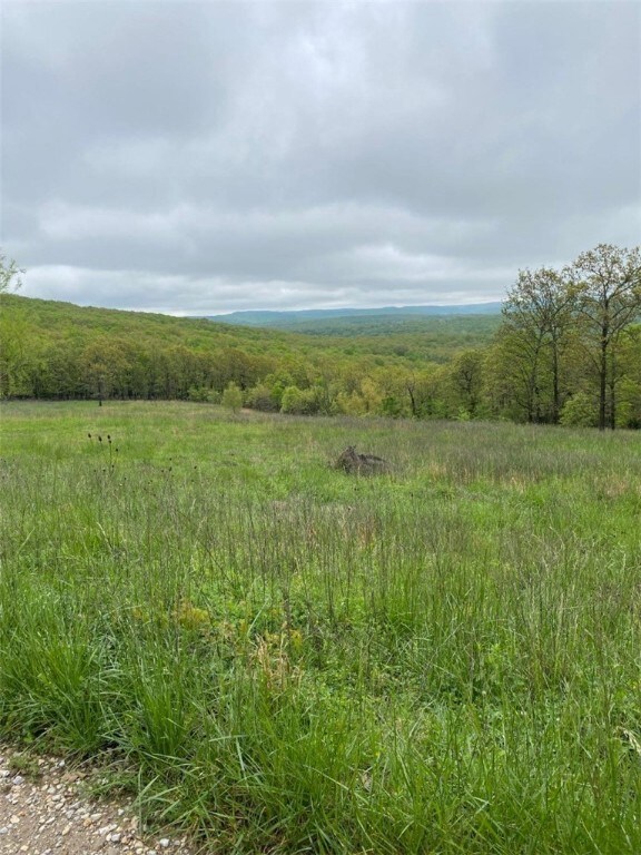 15106 Trace Branch Rd, West Fork, AR 72774 - photo 5