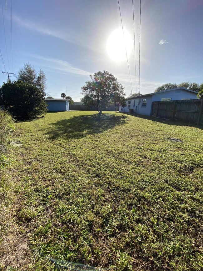 Backyard