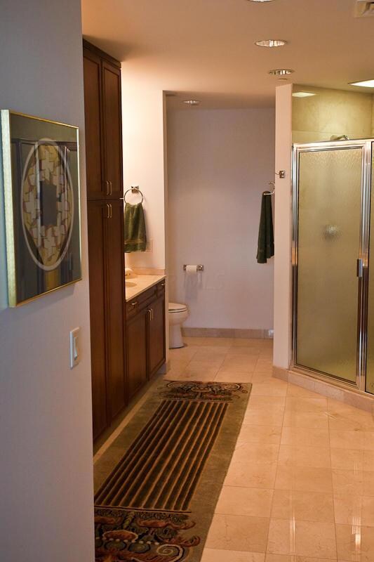 Owner's bathroom