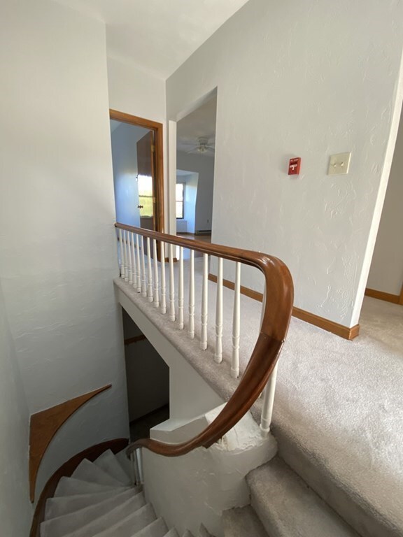 27 E Concord St unit 4, Boston, MA 02118 - photo 3