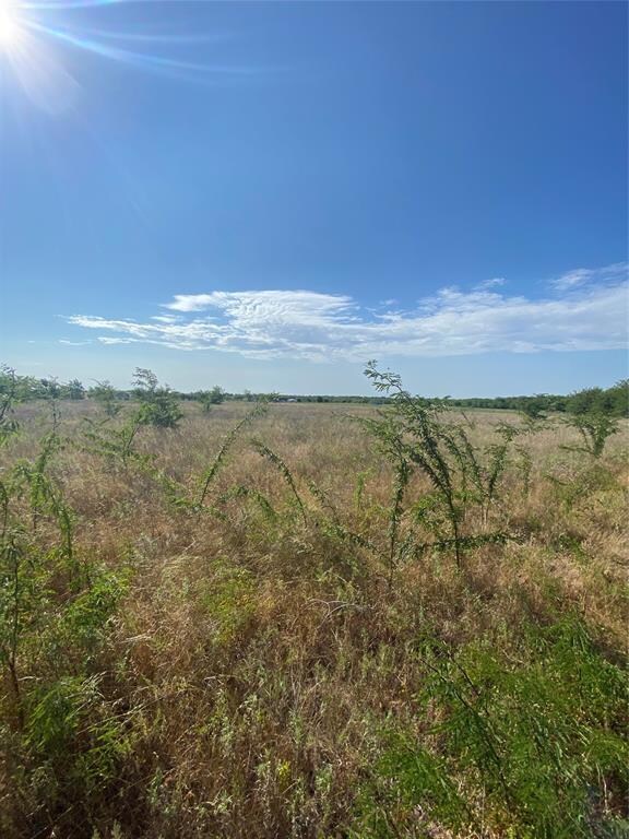 Lot 3 TBD County Rd 4306, Greenville, TX 75401 - photo 2