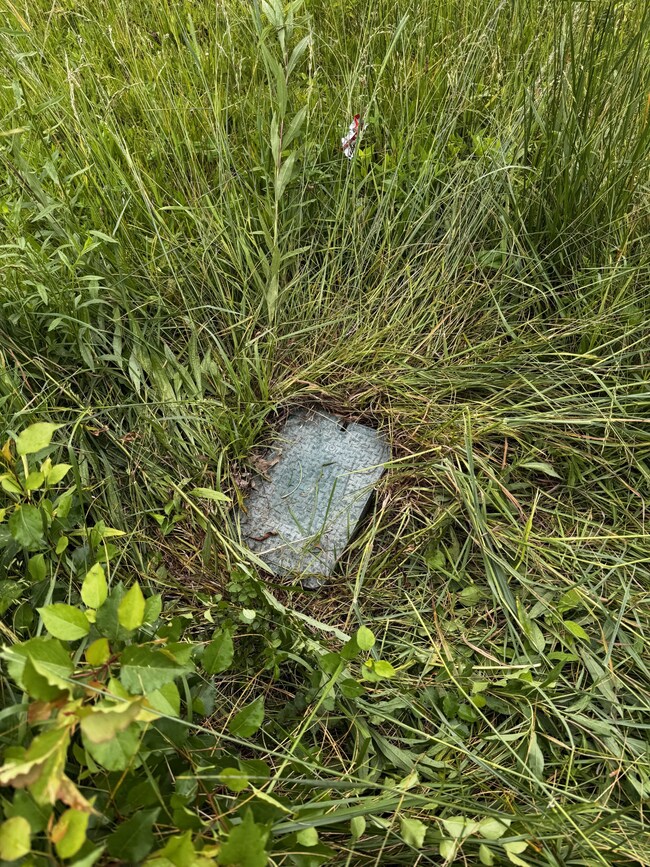 Water meter on N.College St. lot.