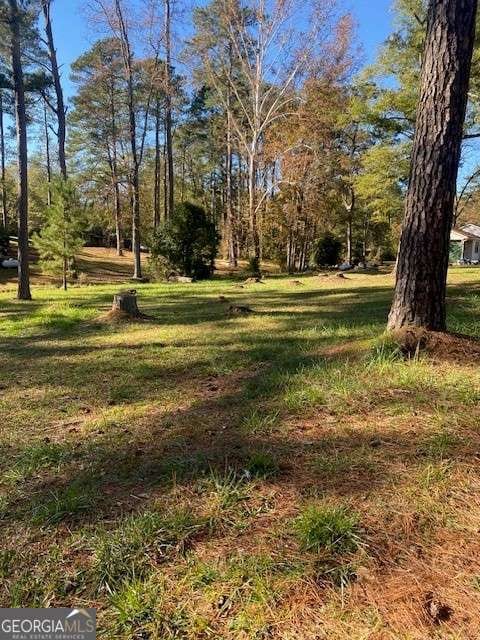 0 Woodland Ct unit 10543600, Union Point, GA 30669 - photo 2