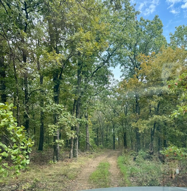 0000 S 2125 Rd, Stockton, MO 65785 - photo 6