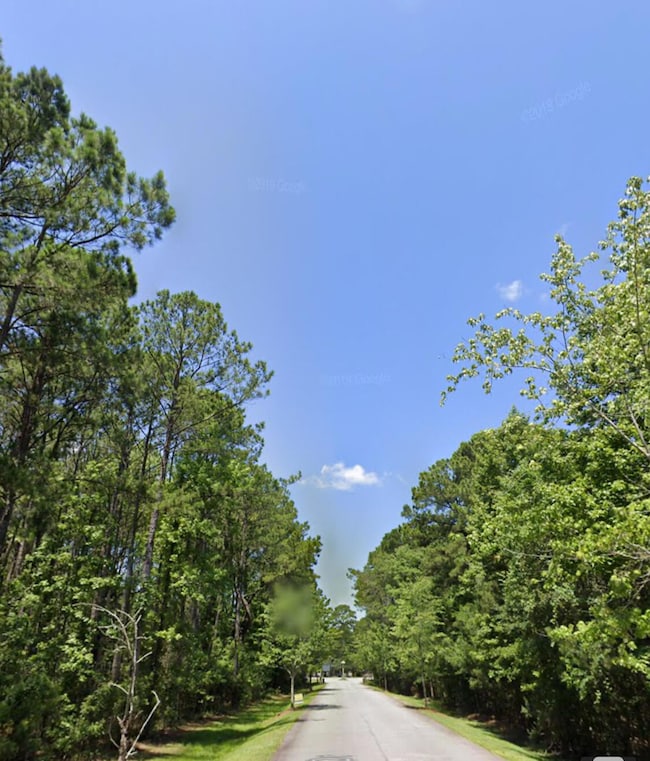 0 Sportsman Island Dr unit 25025614, Wando, SC 29492 - photo 5