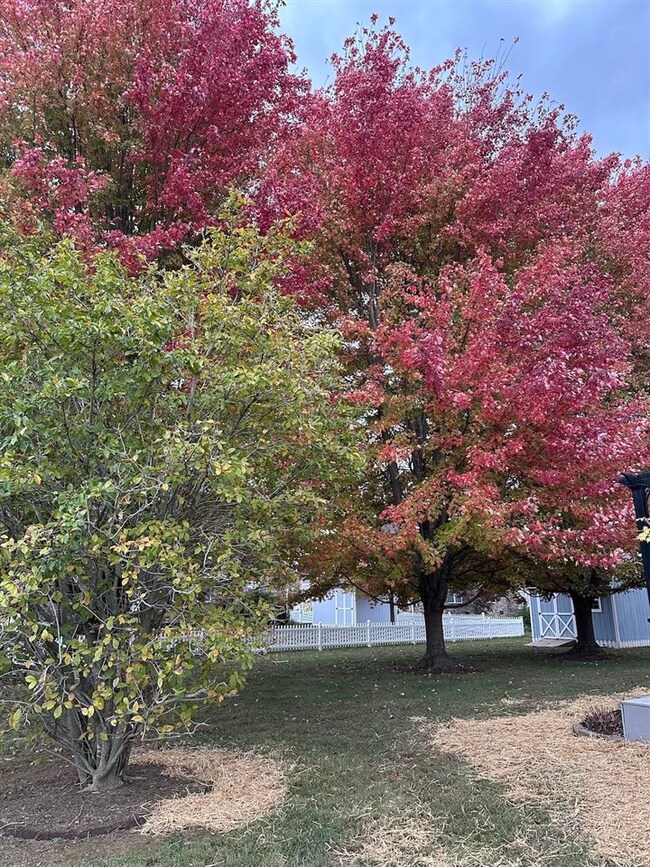 811 Witt Rd, Franklin, KY 42134 - photo 6