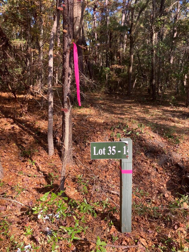 Lot 35 Josie Ridge Rd, Wadmalaw Island, SC 29487 - photo 6