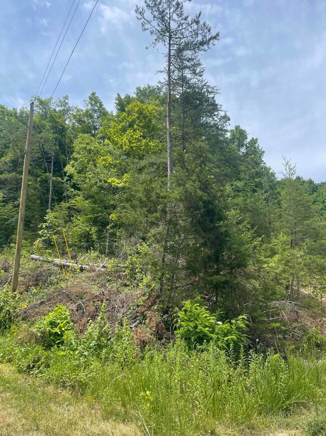 1553 Allen Rd, Booneville, KY 41314 - photo 3