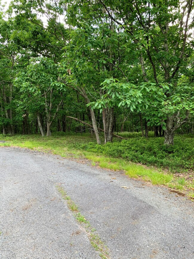 609 Wren Ct, Blooming Grove Township, PA 18428 - photo 2