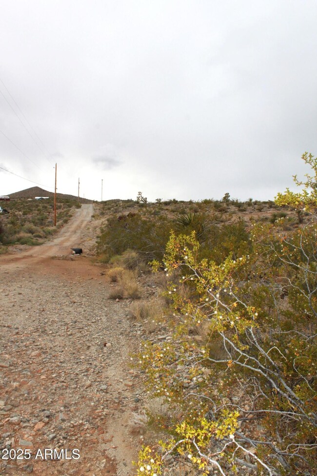 1765 Fortification Dr unit 736, Meadview, AZ 86444 - photo 7
