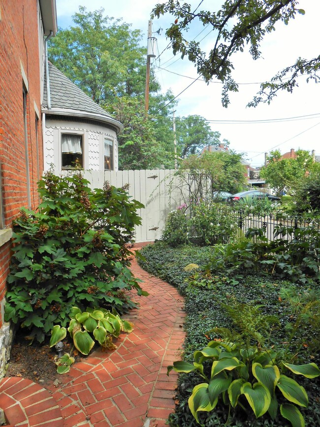 Side Yard