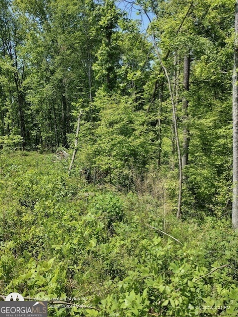 620 Ivy Creek Dr, Nicholson, GA 30565 - photo 2