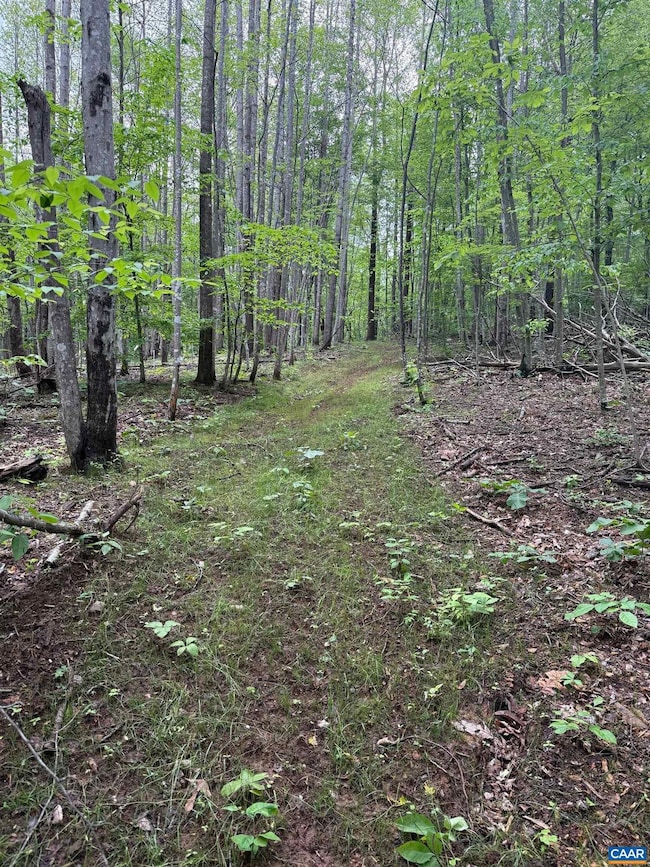 TBD Rabbit Valley Rd, North Garden, VA 22959 - photo 2