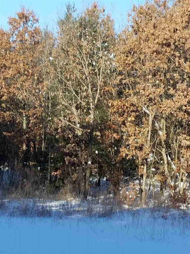 ON Cypress Ave unit Meteor 8314-2, Friendship, WI 53934 - photo 4