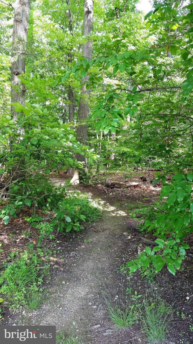 3860 Lyndhurst Dr unit 203, Fairfax, VA 22031 - photo 6