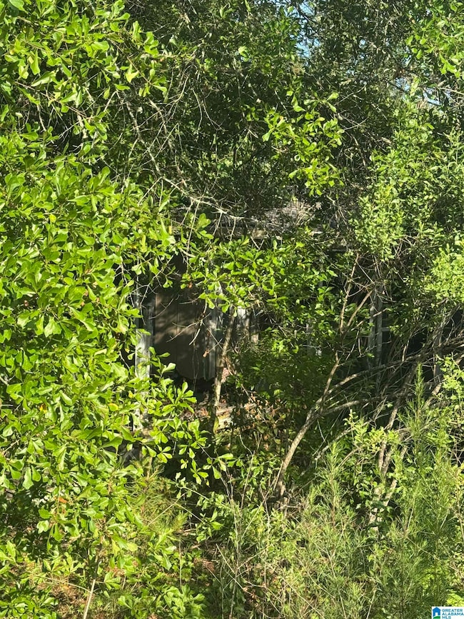 1162 County Road 40, Salem, AL 36874 - photo 3