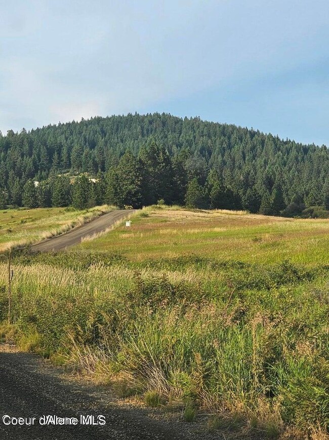 Windfall Pass Rd headed East