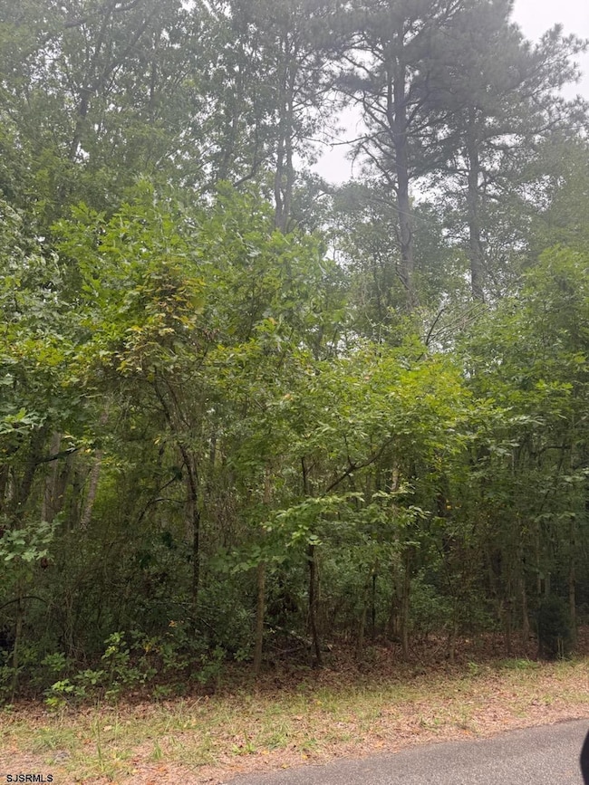 0 Sorrento Ave unit 600415, Newfield, NJ 08344 - photo 2