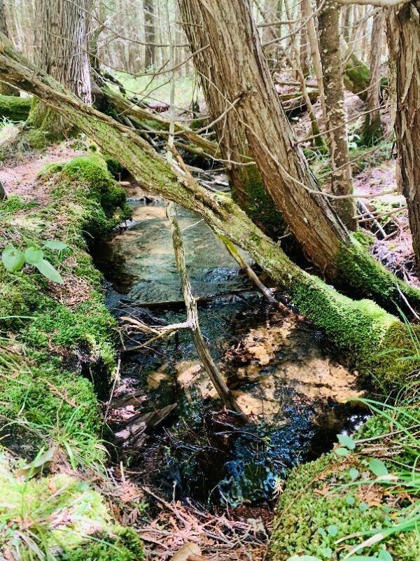 160 A Saint Ignace Rd unit 160 A, Hessel, MI 49745 - photo 5