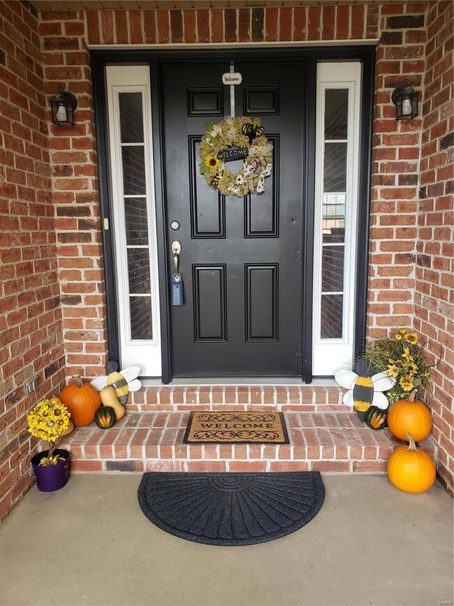 324 Sleeping Indian Dr, Freeburg, IL 62243 - photo 5