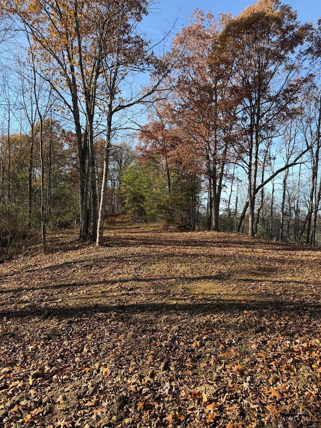 0 Ohio 775, Willow Wood, OH 45696 - photo 6