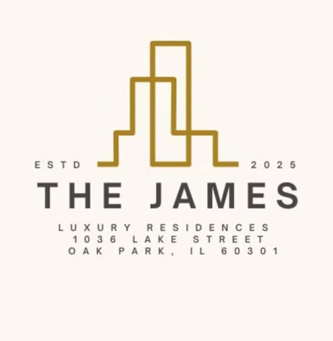 1036 Lake St unit 4S, Oak Park, IL 60301 - photo 2