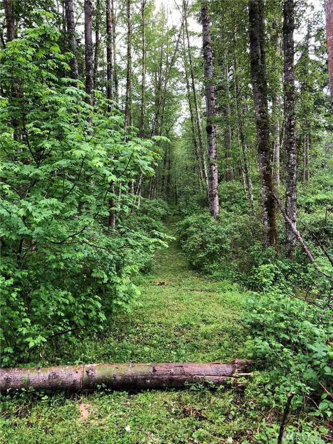 0 Orville Rd E unit 1602213, Orting, WA 98360 - photo 2