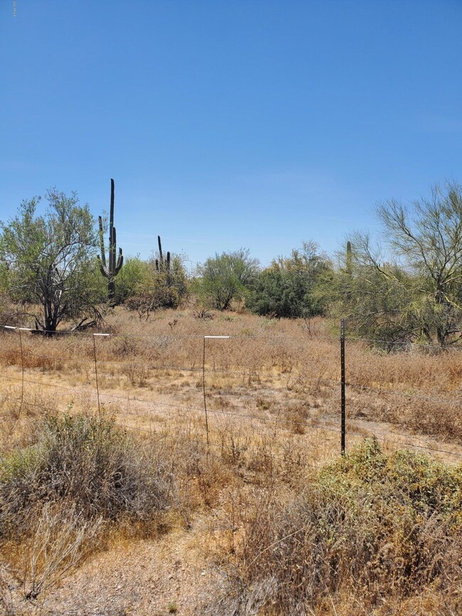Land Pic 2