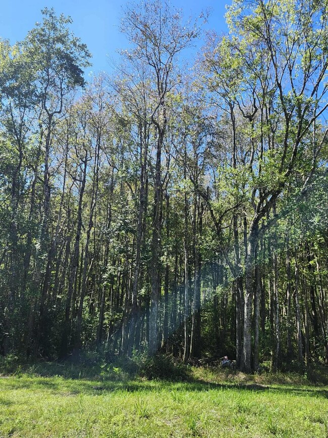 402 Smokehouse Lake Rd, Other, FL 00000 - photo 5