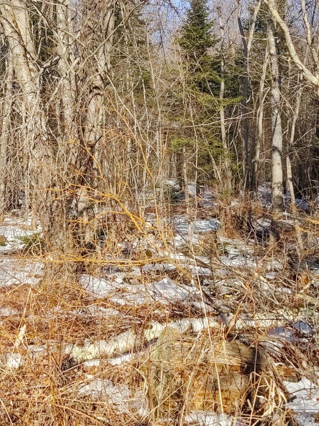 IMG_20200205_095610481_HDR